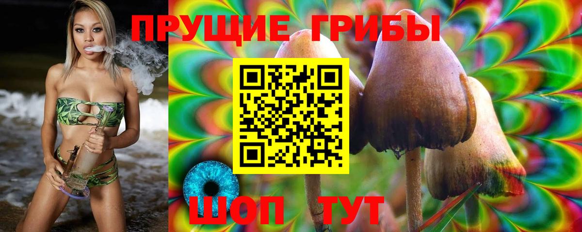 Псилоцибиновые грибы GOLDEN TEACHER Фролово