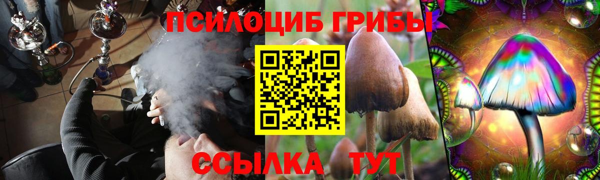 Фролово  Псилоцибиновые грибы Magic Shrooms  Галлюциногенные грибы Psilocybine cubensis  Вход с VPN 